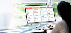 Project Management Consulting